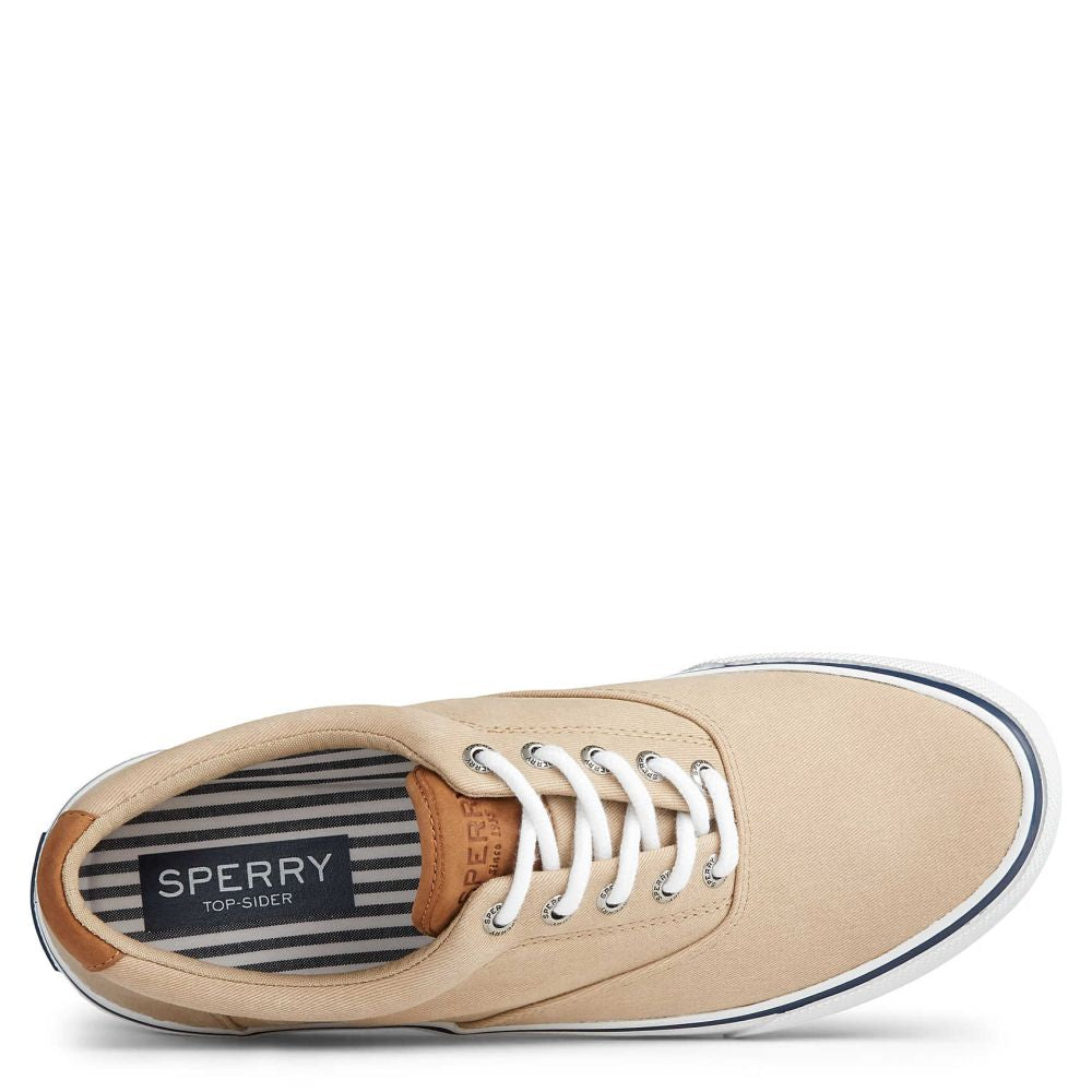 Sperry striper best sale ii cvo